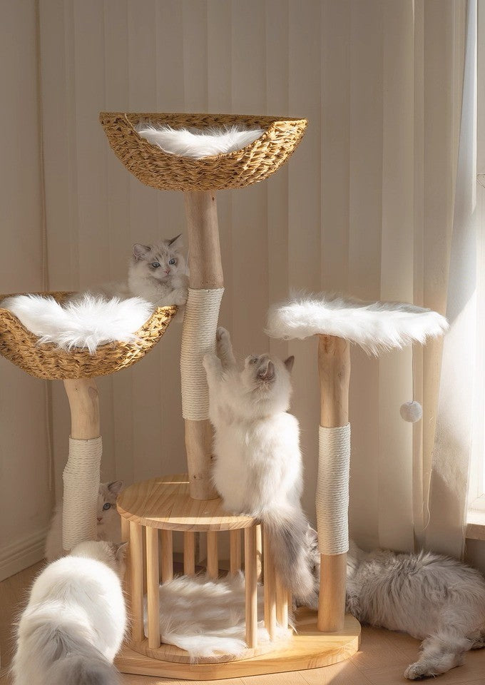 Premium Rattan Series