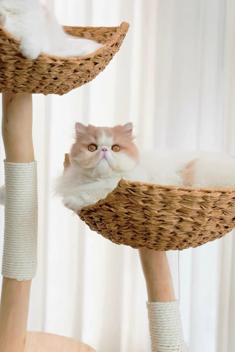 Double Nest Rattan Cat Tree | Solid Timber · 110cm