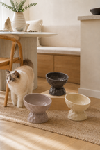 AuraFeed 15° Tilted Cat Bowl