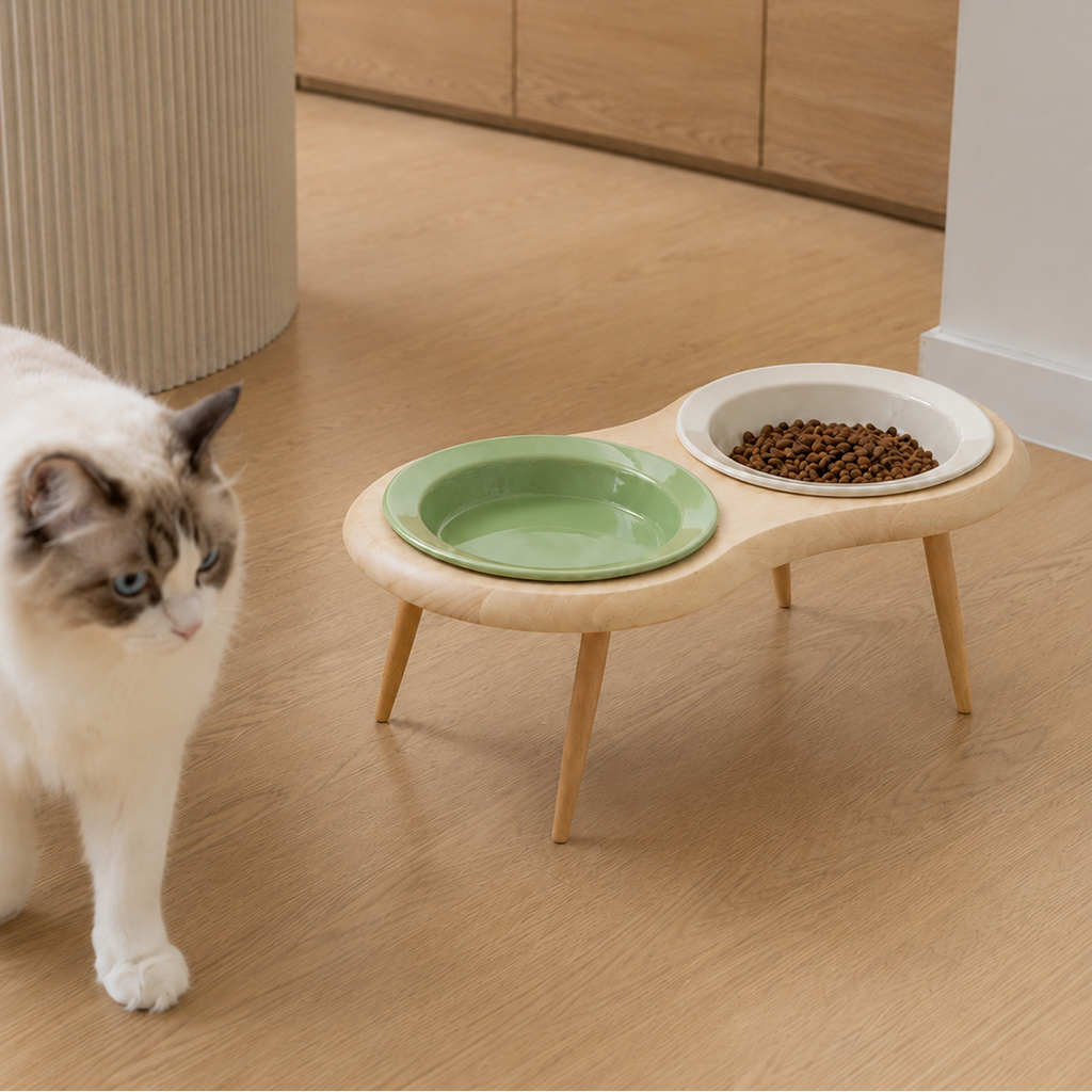 Elevated ceramic cat bowl complementing modern home décor