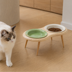 Elevated ceramic cat bowl complementing modern home décor
