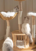 Close-up of handwoven rattan basket platform on natural wood cat tree