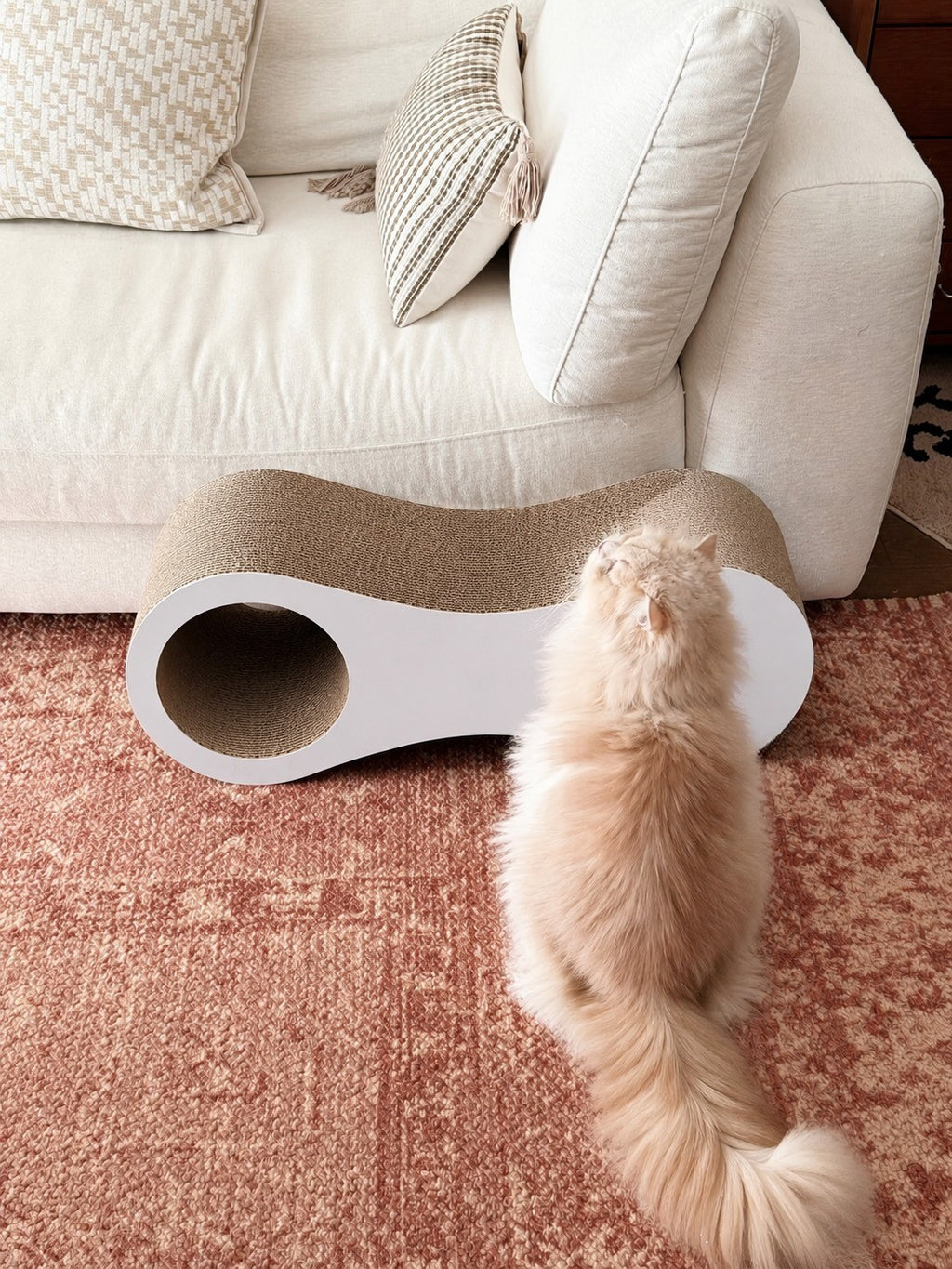 Orbit Path Cat Scratcher