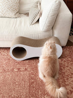 Orbit Path Cat Scratcher