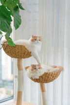 Double Nest Rattan Cat Tree | Solid Timber · 110cm