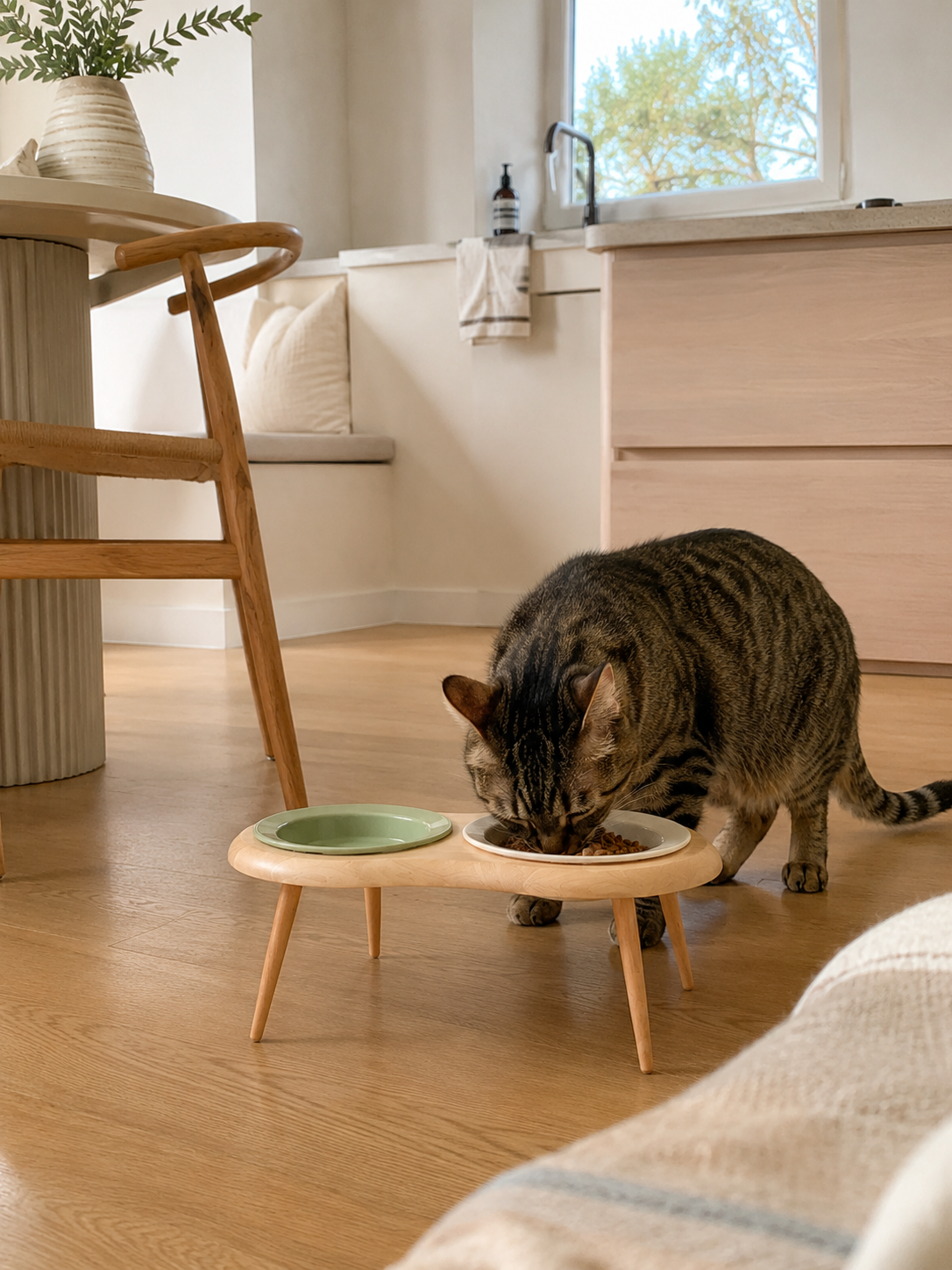 Cat eating from elevated pet bowl with wooden leg stand on timber floor