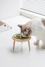Taro Cat Bowl Stand