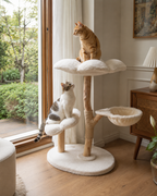 White bloom wooden cat tree in a Australia house