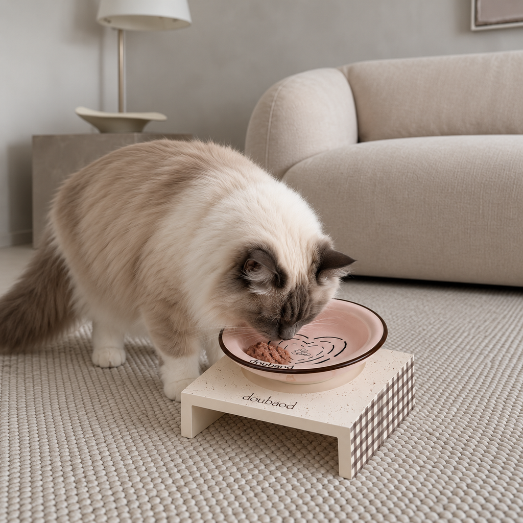 Fluffy cream cat eating from a pink MeAura bowl on a patterned raised stand