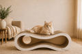 Orbit Path Cat Scratcher