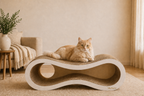 Orbit Path Cat Scratcher
