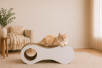 Orbit Path Cat Scratcher