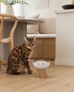 Oakstone Elevated Cat Bowl