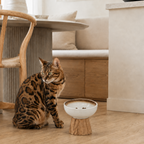 Modern ceramic cat bowl styled in a minimalist Australian home