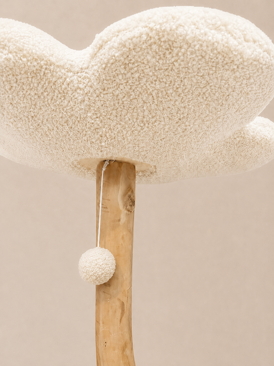 detail of the bloom wood cat tree in Australia