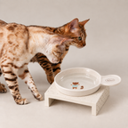 Teddy Handle Cat Bowl