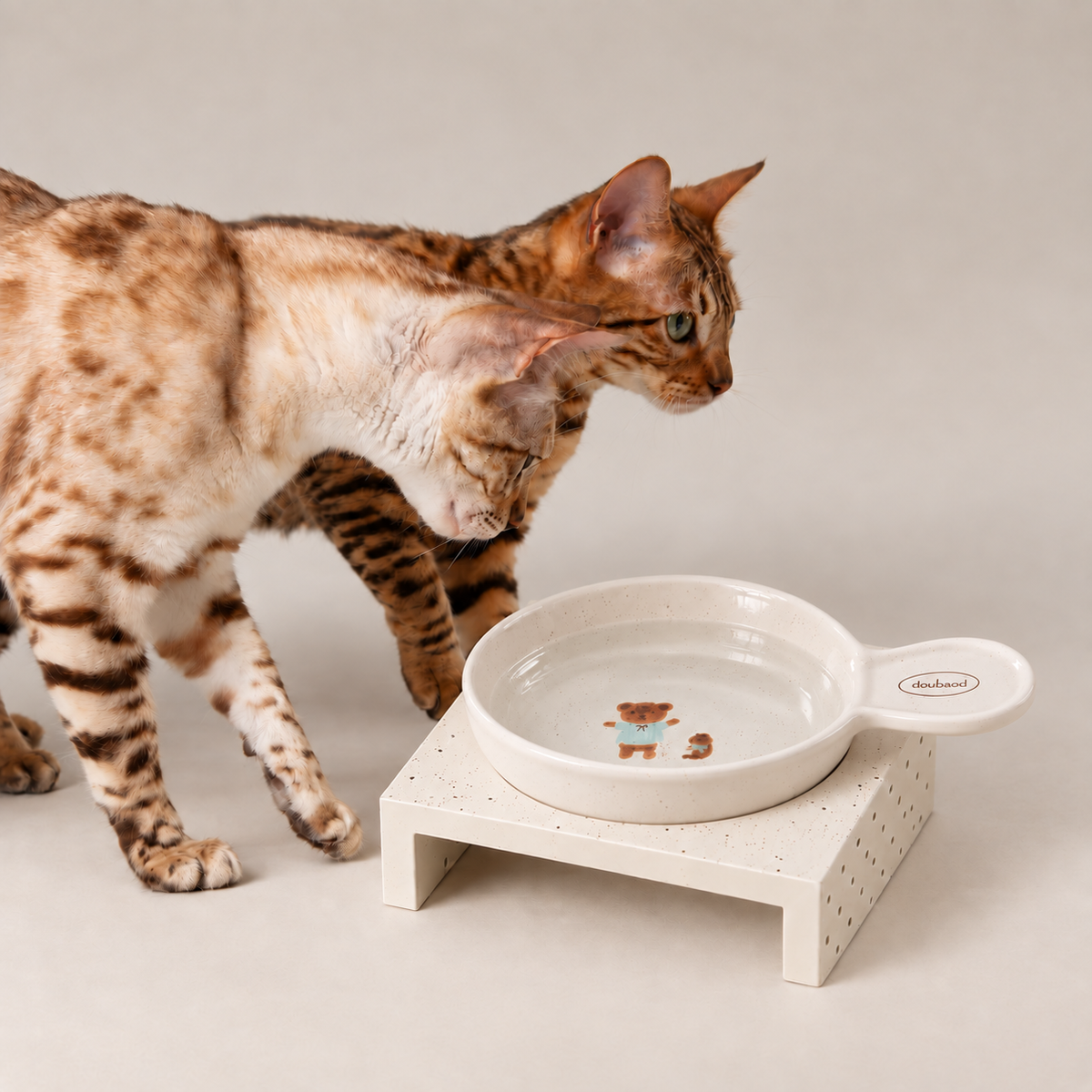 Teddy Handle Cat Bowl